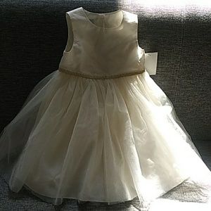 Beautiful Seasonal Dress